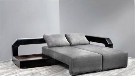 Double dīvāni: iezīmes, veidi un izvēle