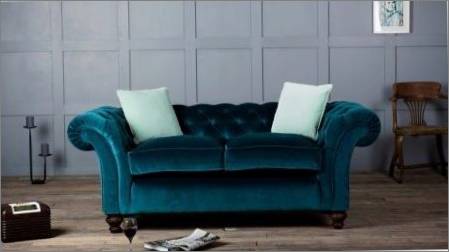 Velvet dīvāni: šķirnes un padomi, kā izvēlēties