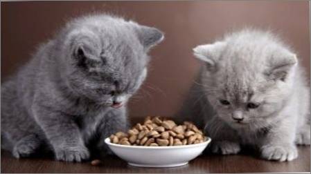 Pārtika kaķēniem un kaķiem ar jutīgu gremošanu