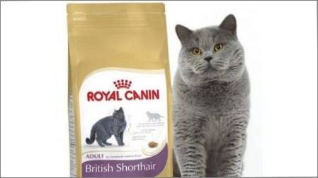 ROYAL CANIN CAT COVER REVIEW