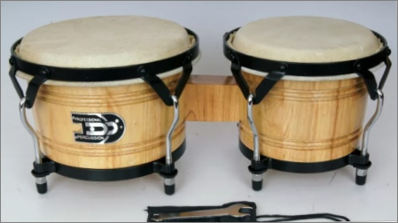 Mūzikas instrumentu bongo