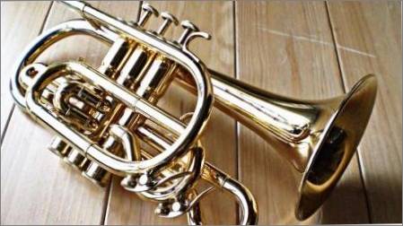 Mūzikas instrumentu Cornet