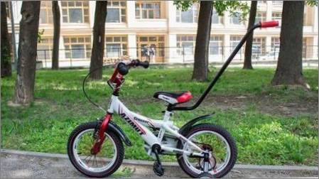 Divriteņu bērnu velosipēdi ar rokturi: pārskata ražotāju un atlases kritēriji