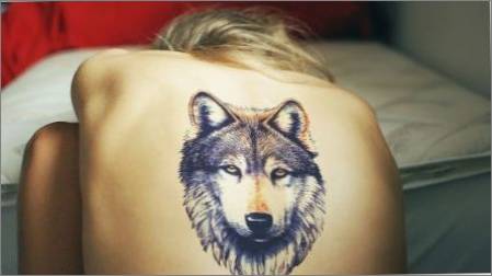 Kas nozīmē tetovējumu ar vilkiem un kur labāk aizpildīt?